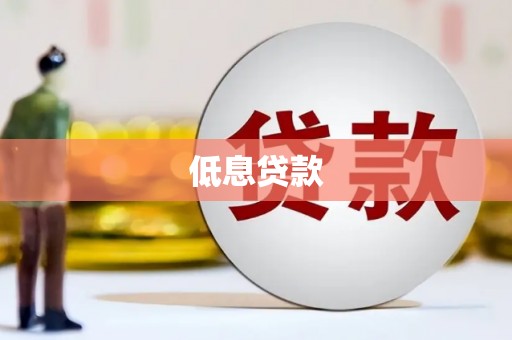 贞丰低息贷款