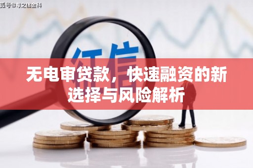 贞丰无电审贷款，快速融资的新选择与风险解析