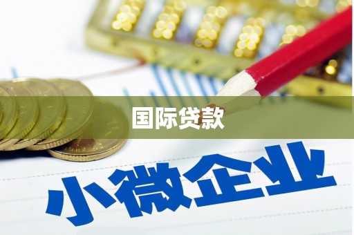 贞丰国际贷款