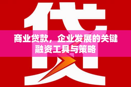 贞丰商业贷款，企业发展的关键融资工具与策略