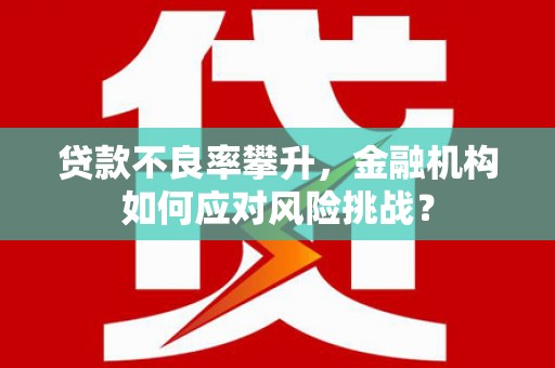 贞丰贷款不良率攀升，金融机构如何应对风险挑战？