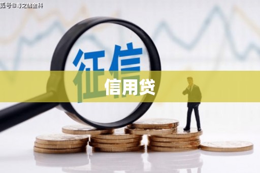 贞丰信用贷