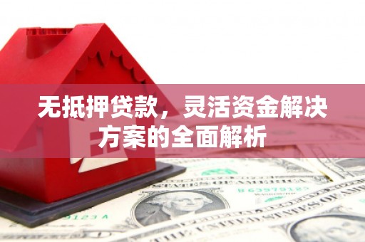 贞丰无抵押贷款，灵活资金解决方案的全面解析