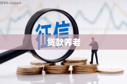 贞丰贷款养老
