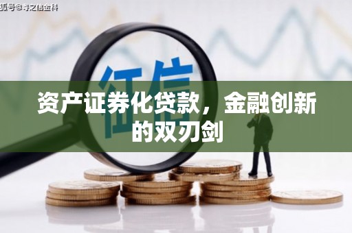 贞丰资产证券化贷款，金融创新的双刃剑