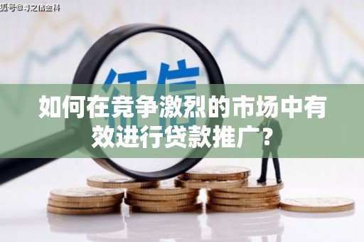 贞丰如何在竞争激烈的市场中有效进行贷款推广？