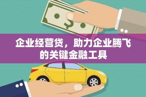 贞丰企业经营贷，助力企业腾飞的关键金融工具