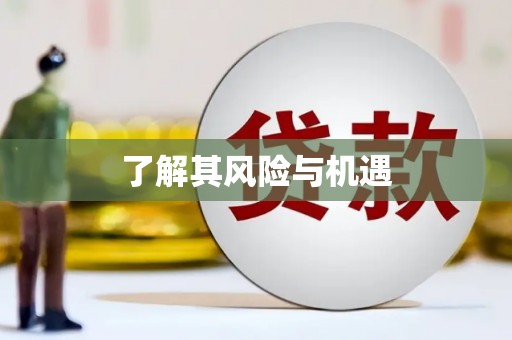 贞丰了解其风险与机遇