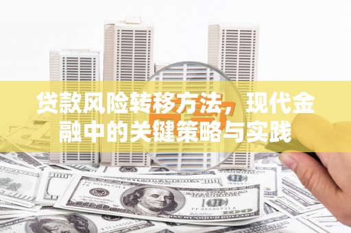 贞丰贷款风险转移方法，现代金融中的关键策略与实践