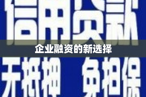贞丰企业融资的新选择