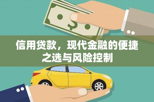 贞丰信用贷款，现代金融的便捷之选与风险控制