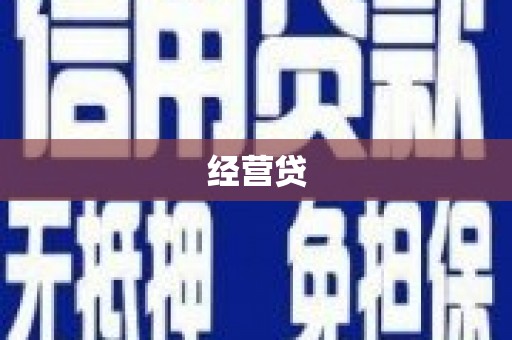 贞丰经营贷