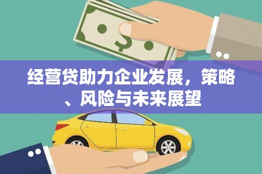 贞丰经营贷助力企业发展，策略、风险与未来展望