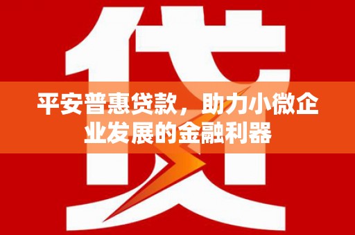 贞丰平安普惠贷款，助力小微企业发展的金融利器