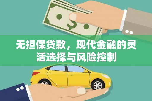 贞丰无担保贷款，现代金融的灵活选择与风险控制