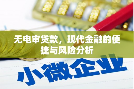 贞丰无电审贷款，现代金融的便捷与风险分析