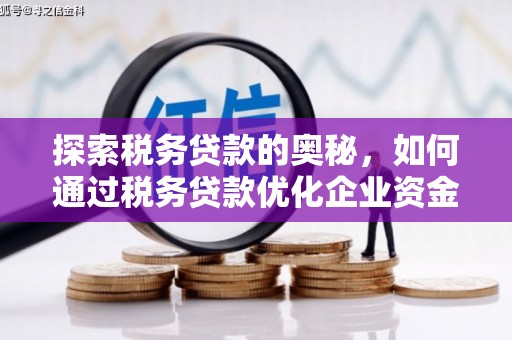 贞丰探索税务贷款的奥秘，如何通过税务贷款优化企业资金流