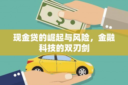 贞丰现金贷的崛起与风险，金融科技的双刃剑