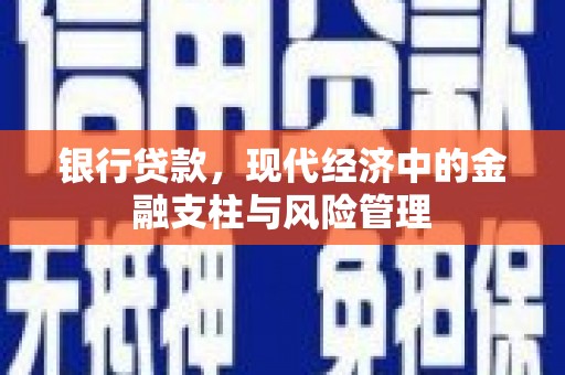 贞丰银行贷款，现代经济中的金融支柱与风险管理