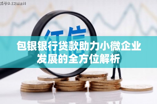 贞丰包银银行贷款助力小微企业发展的全方位解析 贞丰包银银行贷款助力小微企业发展的全方位解析