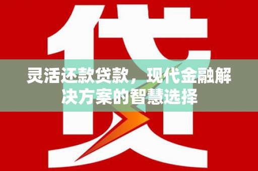贞丰灵活还款贷款，现代金融解决方案的智慧选择