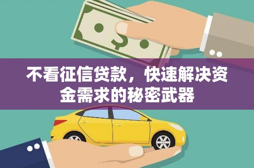 贞丰不看征信贷款，快速解决资金需求的秘密武器