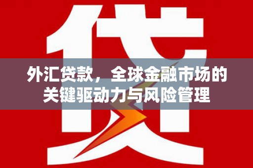 贞丰外汇贷款，全球金融市场的关键驱动力与风险管理
