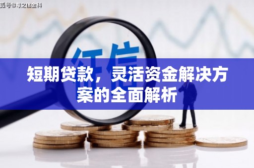 贞丰短期贷款，灵活资金解决方案的全面解析