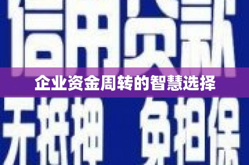 贞丰企业资金周转的智慧选择