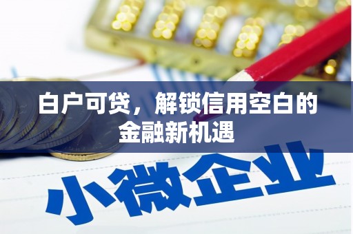 贞丰白户可贷，解锁信用空白的金融新机遇