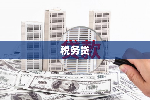 贞丰税务贷