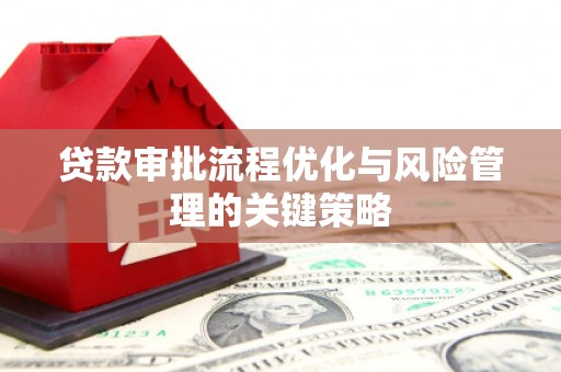 贞丰贷款审批流程优化与风险管理的关键策略