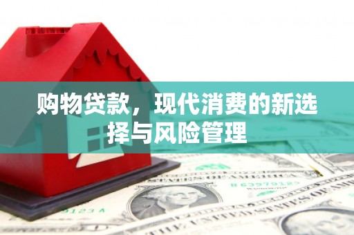 贞丰购物贷款，现代消费的新选择与风险管理