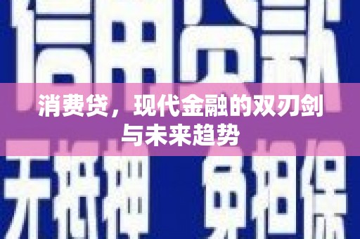 贞丰消费贷，现代金融的双刃剑与未来趋势