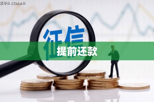 贞丰提前还款