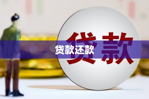 贞丰贷款还款
