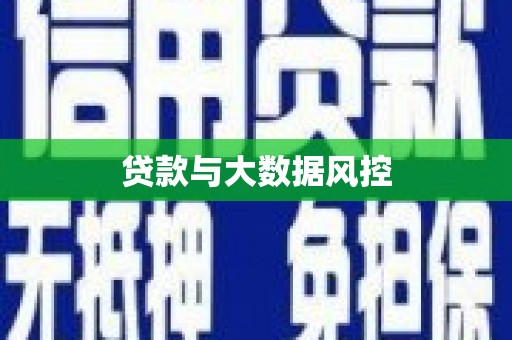 贞丰贷款与大数据风控