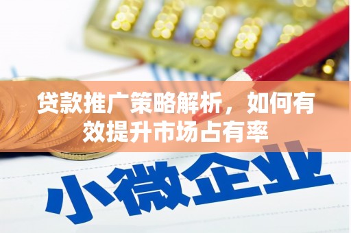 贞丰贷款推广策略解析，如何有效提升市场占有率