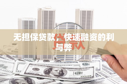 贞丰无担保贷款，快速融资的利与弊