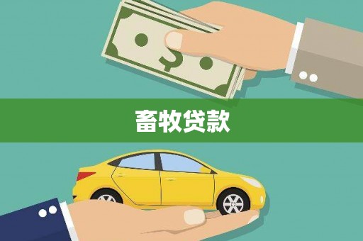 贞丰畜牧贷款
