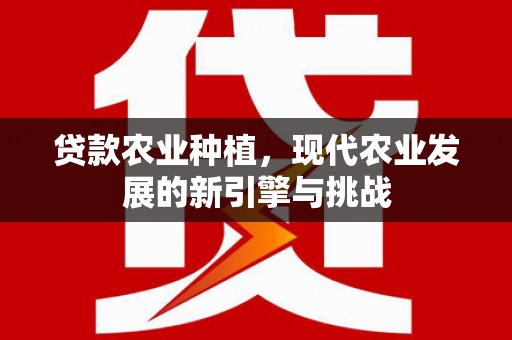 贞丰贷款农业种植，现代农业发展的新引擎与挑战