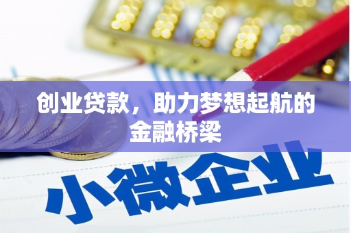 贞丰创业贷款，助力梦想起航的金融桥梁