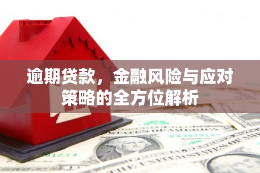 贞丰逾期贷款，金融风险与应对策略的全方位解析