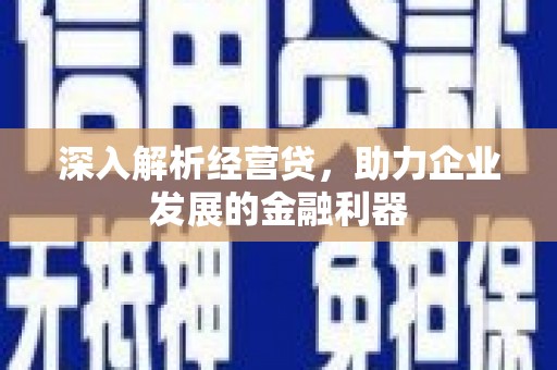 贞丰深入解析经营贷，助力企业发展的金融利器