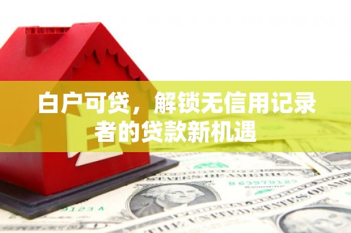 贞丰白户可贷，解锁无信用记录者的贷款新机遇