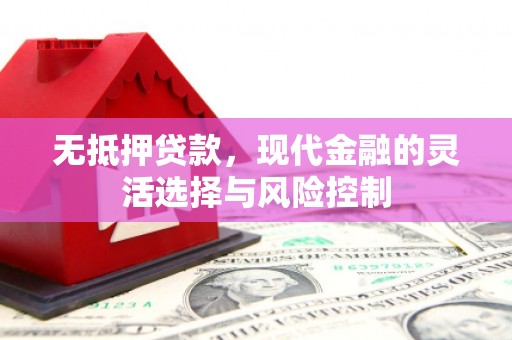 贞丰无抵押贷款，现代金融的灵活选择与风险控制