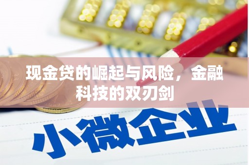 贞丰现金贷的崛起与风险，金融科技的双刃剑