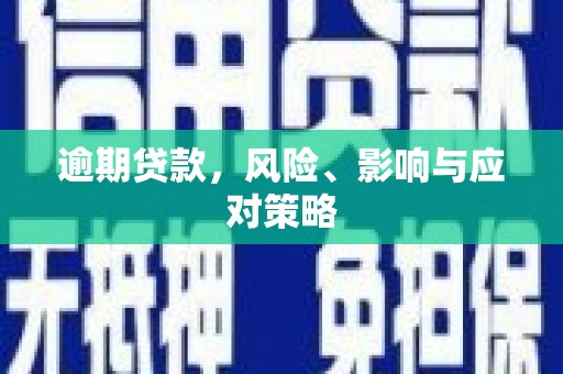 贞丰逾期贷款，风险、影响与应对策略