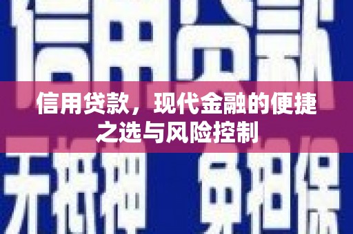 贞丰信用贷款，现代金融的便捷之选与风险控制