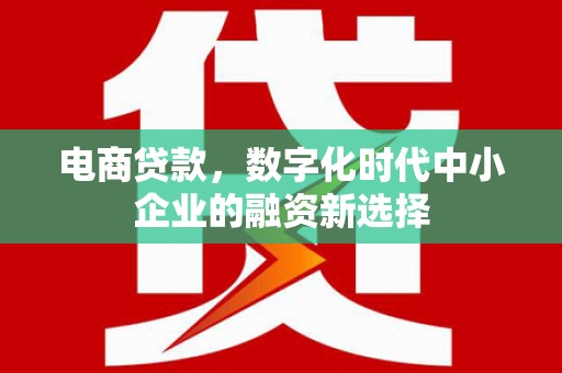 贞丰电商贷款，数字化时代中小企业的融资新选择
